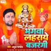 About Bhagwa Lahraye Bajrangi Song